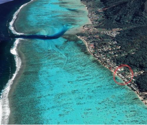 - une vue aérienne sur l'océan et la plage dans l'établissement Faré Luciana Moorea, à Moorea