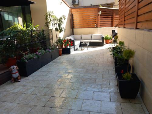 a courtyard with potted plants and a patio at Studio'24 - Tomis Mall - Ultracentral in Constanţa