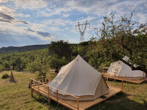 Příroda nedaleko luxury tent