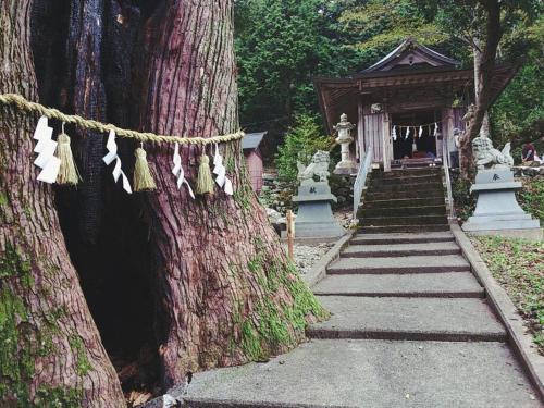 a tree with a string of tassels hanging from it at Oyamanoyado Michitsuji in Otoyocho
