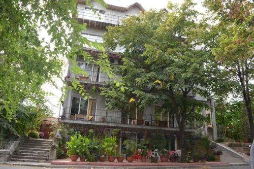 un bâtiment avec des plantes en pot devant dans l'établissement Vila Denisa, à Eforie Nord