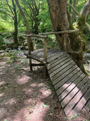 a wooden bench sitting next to a tree at ElatoVillage in Elatochori