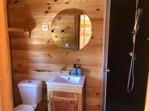 y baño con aseo, lavabo y espejo. en Domaine Rosfelder - locations de gîte et cabane insolite en Gertwiller