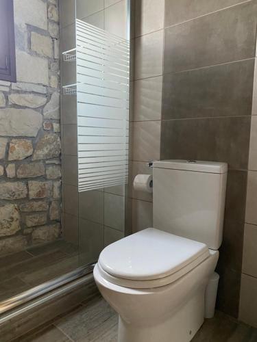 a bathroom with a white toilet and a shower at Villa Maria 1 in Gliki