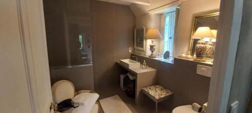 Intres的住宿－Bérard，一间带卫生间、水槽和镜子的浴室