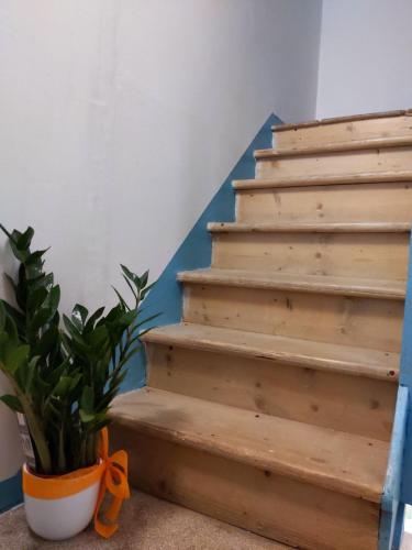 a wooden staircase with a potted plant next to it at Mirabilia 1 in Chioggia