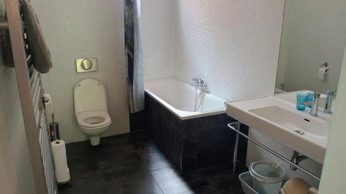 プラハにあるPark View - a digital Nomad's dreamのバスルーム(トイレ、洗面台、バスタブ付)