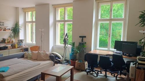 Televízia a/alebo spoločenská miestnosť v ubytovaní Park View - a digital Nomad's dream