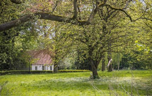 a tree in a field with a house in the background at 1 Bedroom Nice Home In Faaborg in Fåborg