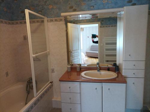 La salle de bains est pourvue d'un lavabo, d'une baignoire et d'un miroir. dans l'établissement Le logis de LANGE apt Les Aigrettes, à Saint-Hilaire-la-Palud