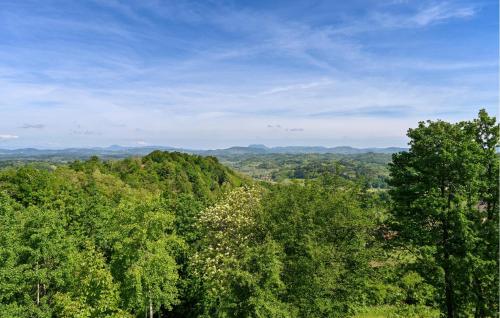 an overhead view of a forest of trees on a hill at 3 Bedroom Gorgeous Home In Sveti Kriz in Sveti Križ