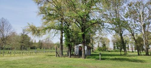 an old house under a tree in a field at Corte Isolo in Goito