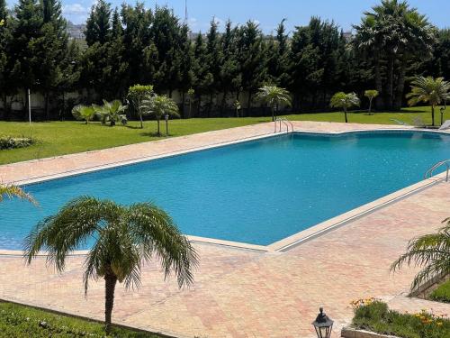 a large swimming pool with a palm tree next to it at Appartement de vacances neuf: piscines et plage in Tangier