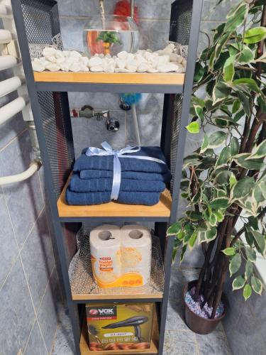 un estante con toallas y una planta en el baño en Victory apartment, en Niš