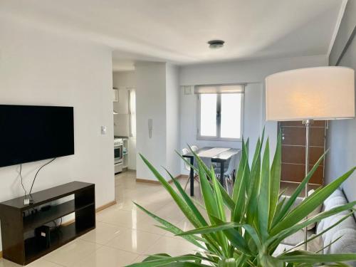 a living room with a television and a potted plant at Departamentos Leloir in Neuquén