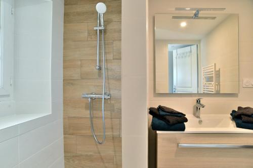 uma casa de banho com um chuveiro e um lavatório. em Gîte de la Bosse Besnard em Saint-Marcan