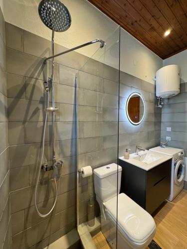 a bathroom with a shower and a toilet and a sink at Rosemary Studio in Chorto
