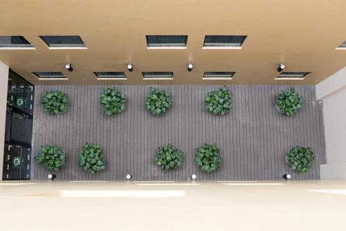 a wall with potted plants in a building at Hotel Yan in Singapore