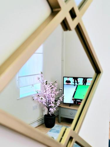 a window with a plant in a vase in front of a television at Beautiful Townhouse with Netflix in Long Eaton