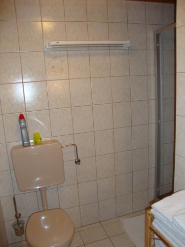 Koupelna v ubytování Pferdehof Almgut