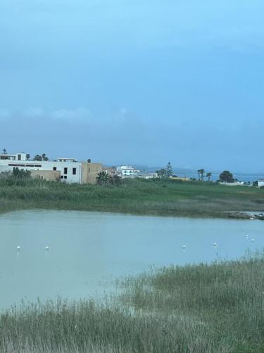 a body of water with grass and buildings in the background at Casa Vacanze Celeste e C in Marzamemi