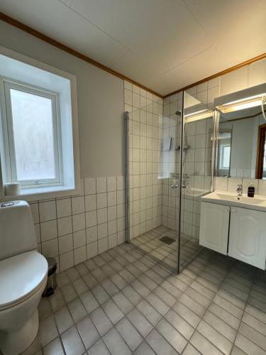 ein Bad mit einer Dusche, einem WC und einem Waschbecken in der Unterkunft Arctic Hotel Nordkapp in Honningsvåg