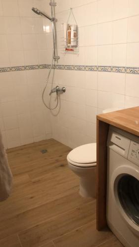 a bathroom with a toilet and a washing machine at La Casina de la Peña in Luarca