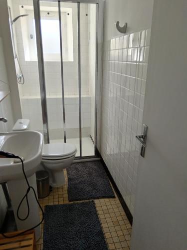 une salle de bain avec une douche, des toilettes et un lavabo dans l'établissement Gîte Le well wazh, à Plouray