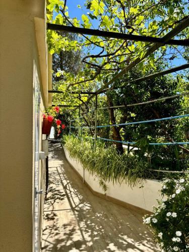 a garden with flowers and plants on a wall at Hotel Vasco Da Gama in Sabaris