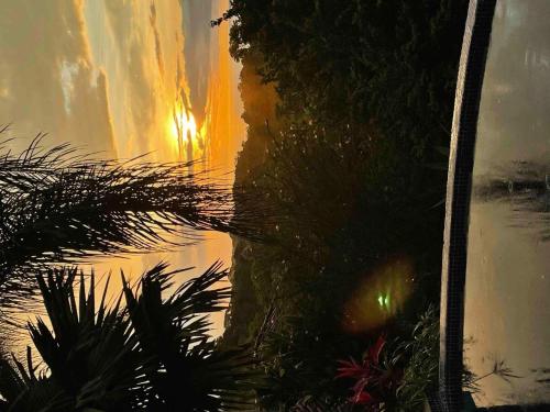 a reflection of a palm tree in a window at Finca Los Caballos Montezuma in Montezuma