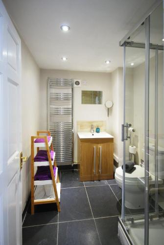 La salle de bains est pourvue de toilettes et d'un lavabo. dans l'établissement The Lodge Quaint Georgian Apartment, Wifi and Parking, near Bath, à Box