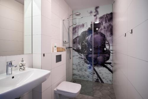 a bathroom with a shower with a picture of a train at Dom Gościnny Wetlinn in Wetlina