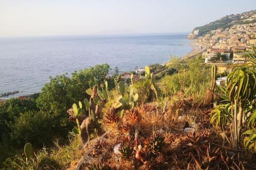 a view of the ocean from a hill with cactus at Casa Spisidda Appartamento bilocale "Salina" con vista sulle Eolie in Gioiosa Marea