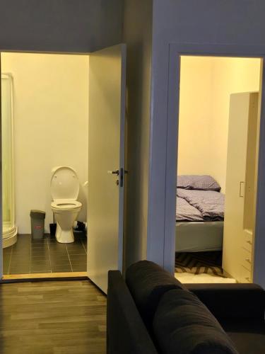 a bathroom with a toilet and a bed in a room at TromsøApartment Silent area with view- FREE PARKING in Tromsø
