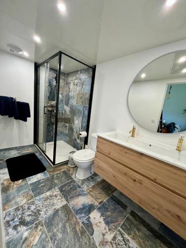 La salle de bains est pourvue d'une baignoire, de toilettes et d'un miroir. dans l'établissement Coup de cœur charmante maison aux bois murés, à Grasse