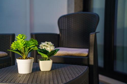 two potted plants sitting on a table with a chair at Jay House in Floridia