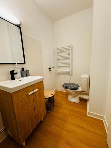 une salle de bain avec un lavabo et des toilettes dans l'établissement Appartement Bird II proche centre gare, parking, à Niort