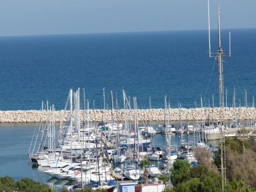 a bunch of boats are docked in a harbor at Aphrodite Heights in Larnaka