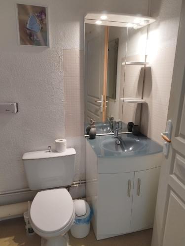 une salle de bain avec des toilettes blanches et un lavabo dans l'établissement Studio en RDC à LAMALOU LES BAINS, à Lamalou-les-Bains