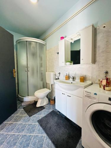 a bathroom with a shower and a toilet and a sink at Kuća za odmor Šimun in Vukovar