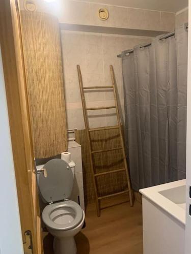 une salle de bain avec toilettes et douche dans l'établissement Appartement cosy climatisé proche plage, à La Grande Motte