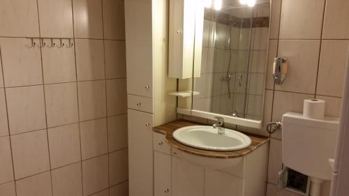a bathroom with a sink and a mirror at Urlaubsnest in Harbach