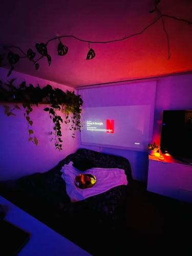 une chambre avec un lit avec des lumières violettes et roses dans l'établissement Studio cosy centre-ville/mer, au Havre