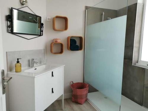 une salle de bain avec un lavabo et une douche avec un miroir dans l'établissement Villa des roses, comme à la maison, à Cherbourg en Cotentin