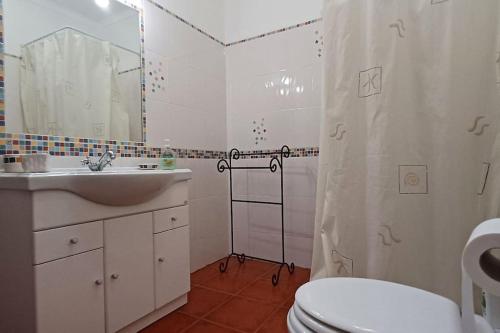 Maison avec grande terrasse