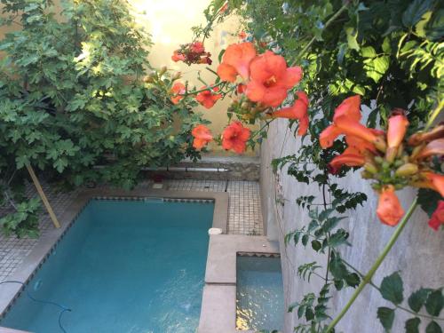 une piscine avec des fleurs rouges dans un jardin dans l'établissement Chambre d'hôte Mas de Silvacane, à La Roque-dʼAnthéron