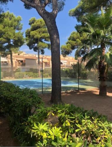 un arbre et quelques buissons et une piscine dans l'établissement Un petit coin de paradis, au Cap d'Agde