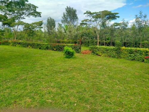 a garden with green grass and a hedge at The Orange Cottage in Nyeri