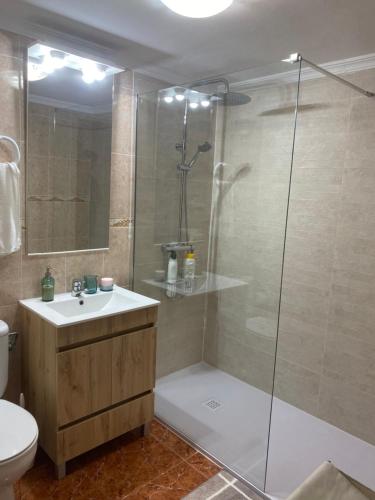 bagno con doccia, lavandino e servizi igienici di Nonna Beach Apartment Two-Bedroom a Rincón de la Victoria