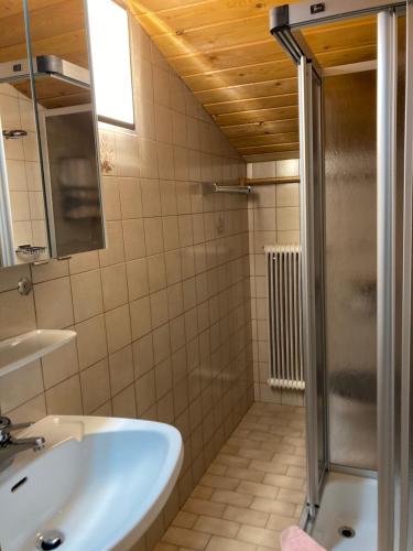 a bathroom with a sink and a shower at Ellmauhof in Pfarrwerfen
